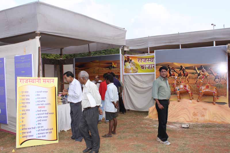 Hanuman Jayanti - 2010