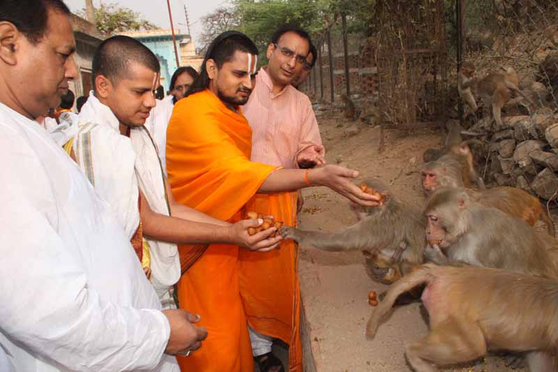 Hanuman Jayanti - 2012
