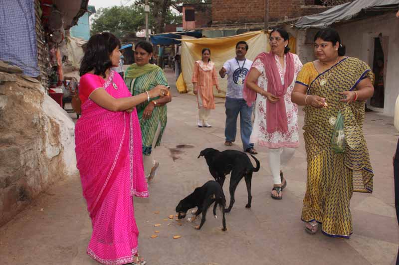 Hanuman Jayanti - 2012
