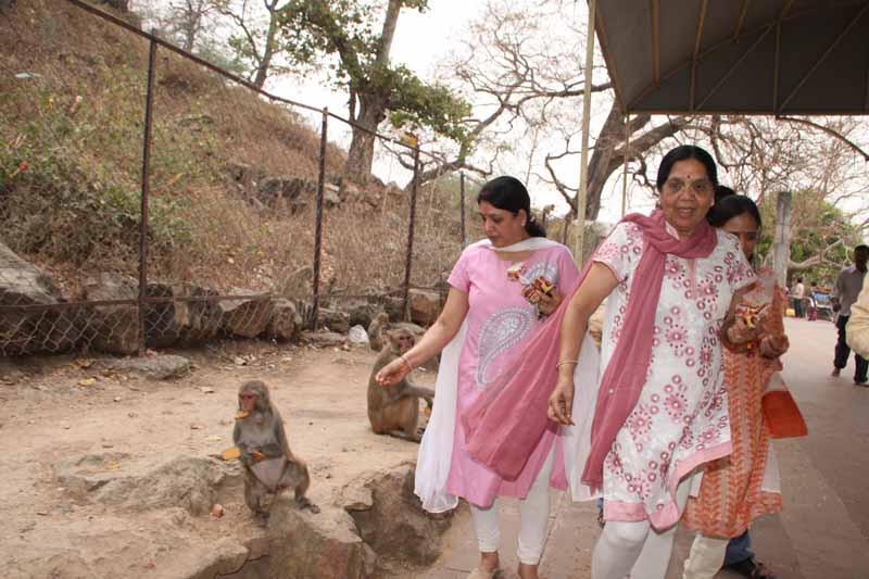 Hanuman Jayanti - 2012