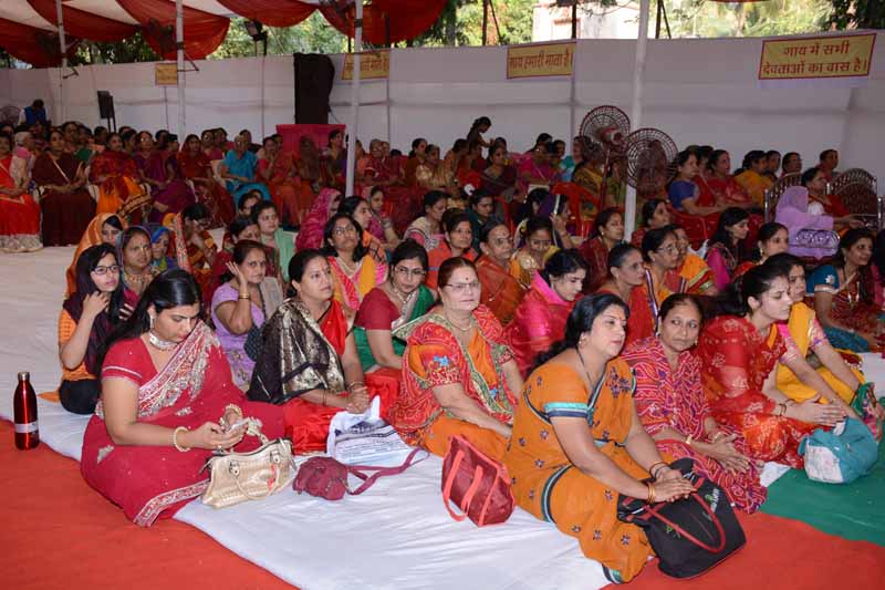 Nanibai Myro1 - 2015