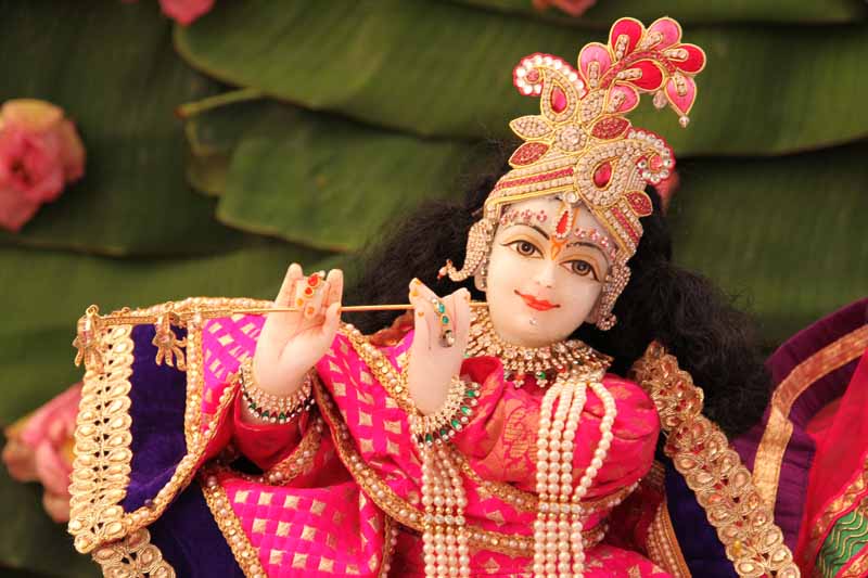 Nanibai Myro1 - 2015