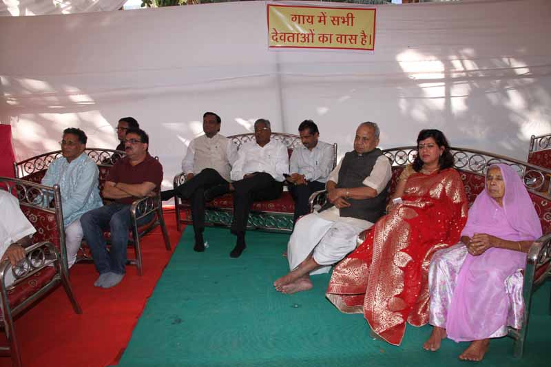 Nanibai Myro1 - 2015